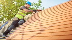 Best Roof Coating and Sealing  in Ortonville, MI