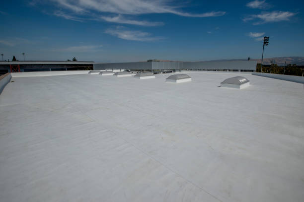 Roof Coating Services in Ortonville, MI