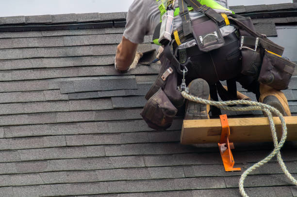 Best Storm Damage Roof Repair  in Ortonville, MI