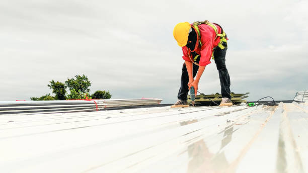 Best Roof Replacement  in Ortonville, MI