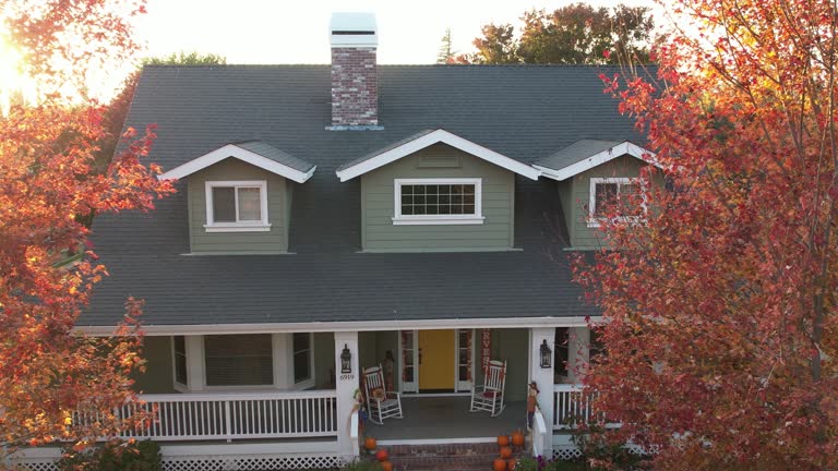 Best Skylight Installation and Repair  in Ortonville, MI