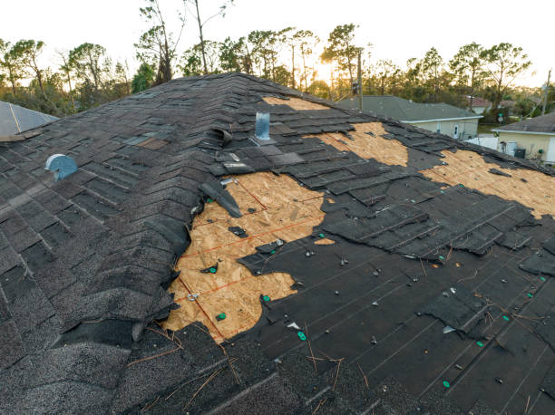 Best Roof Ventilation Installation  in Ortonville, MI