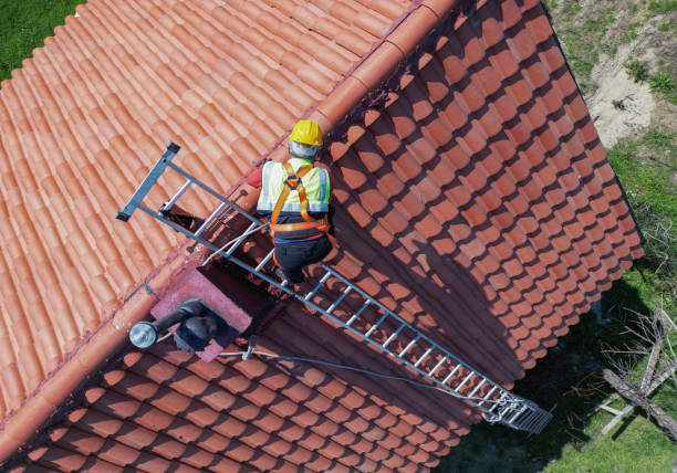 Best Steel Roofing  in Ortonville, MI