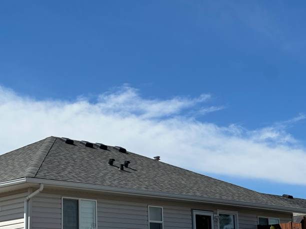 Best Roof Insulation Installation  in Ortonville, MI